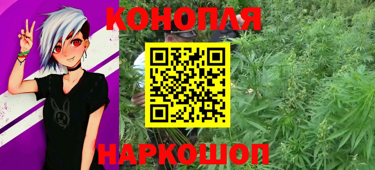Бошки Шишки ГИДРОПОН  Конопля SATIVA & INDICA  Бийск  Вход с VPN 